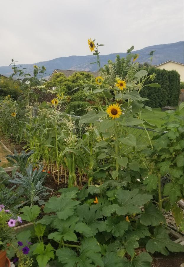 Global Village Permaculture Bnb โอลิเวอร์ ภายนอก รูปภาพ